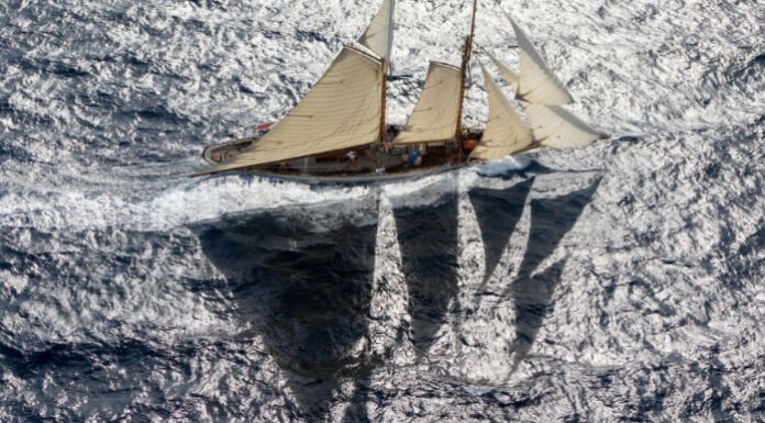 Les Voiles de Saint-Tropez